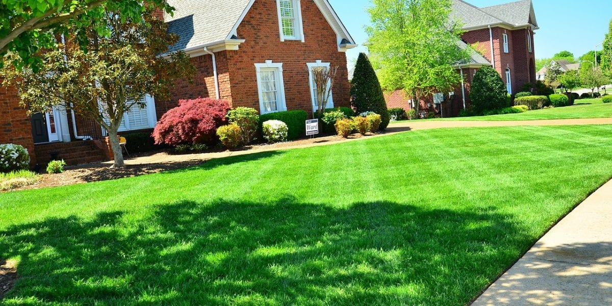 organic lawn care feature