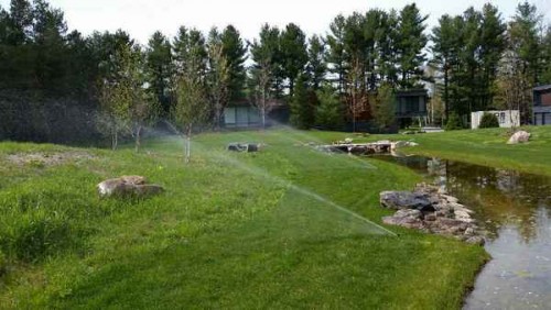Irrigation-photos-00019