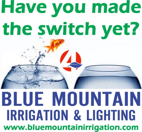 blue-mountain-irrigation-1